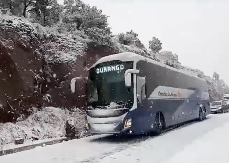Paisajes con nieve en Zacatecas por frente frío 11